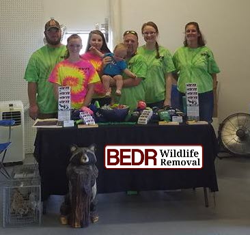 Wildlife Animal Control Company Family Owned Virginia w logo 366x344 The Rand's