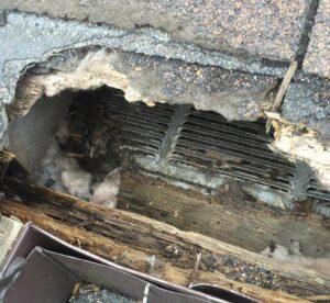 Bat abatement at a damaged roof vent on a Herndon, VA home