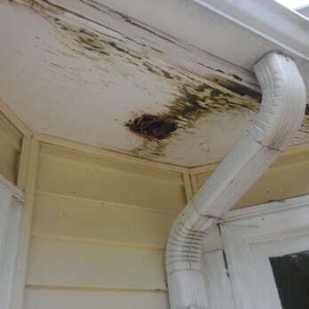 Nesting damage and staining on a porch soffit caused by birds
