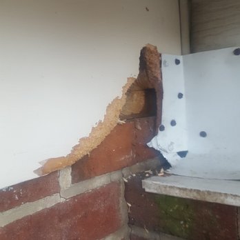 Chewed wildlife entry hole at the siding-to-brick transition of a Virginia home